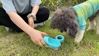 pet water food cup, portable bottle #petbottle #dogbottle #dogtravel #pet screenshot 5