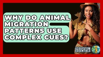 Why Do Animal Migration Patterns Use Complex Cues? - Ecosystem Essentials
