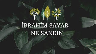 İbrahim Sayar | Ne sandın Resimi