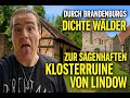 Durch Brandenburgs dichte Wälder zur sagenhaften Klosterruine von Lindow