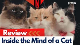 Inside the Mind of a Cat Review |Netflix|