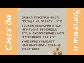 Подборка анекдотов. Смешные анекдоты. Свежие. Новые. Юмор дня.