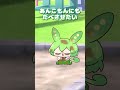 どろ団子を作って遊ぶちっちゃずんだもん達