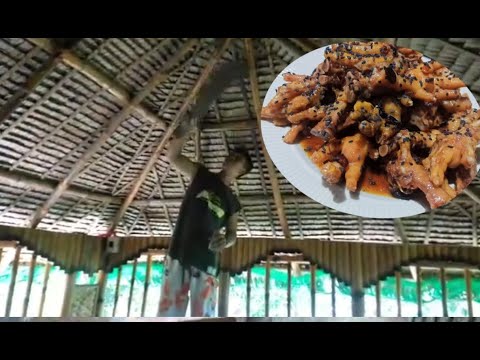 Video: Paano Gumawa Ng Kubo Sa Mga Paa Ng Manok
