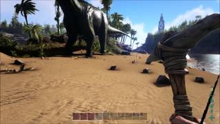 Purple light/Black screen visual glitch in ARK: Survival Evolved on PS4