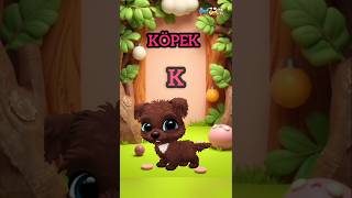 Harfler ve Sesler: Hayvanlar Dünyası (Arı, Eşek, Kaplan, Kedi)