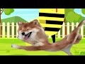 Bee steps on a dog (Amberheardmeme)