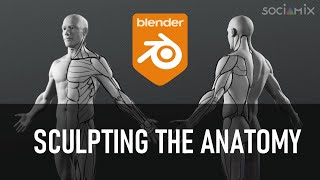 Sculpting the human anatomy in Blender (Full process ! ) - Part 2/2 by sociamix 35,649 views 3 years ago 2 hours, 36 minutes