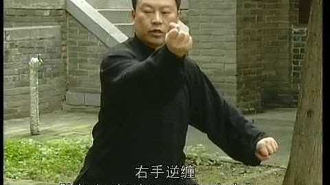 張東武 Zhang Dongwu - 新架二路 Xinjia Erlu (New Frame Second Form) 炮捶 Paochui (Cannon Fist) 3