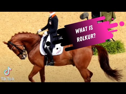 Videó: A díjlovaglás rossz a lovaknak?