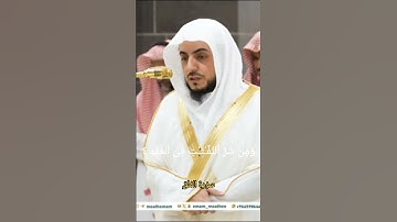 تلاوت شيخ ويليدشمسن سورة الفلق #اكسبلور