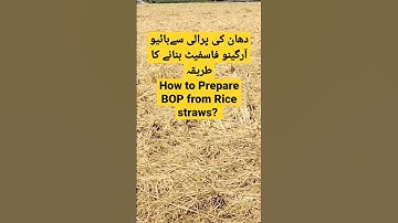 How to prepare BOP from Rice straws | Prepare DAP at Home from crop residues