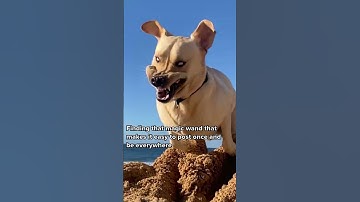 You’d be all smiles too if you’re using Repurpose.io