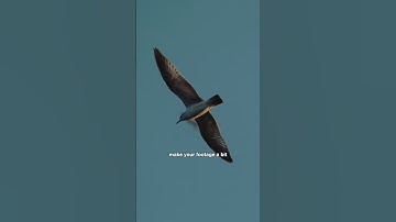 This AI tool is a lifesaver for filmmakers!