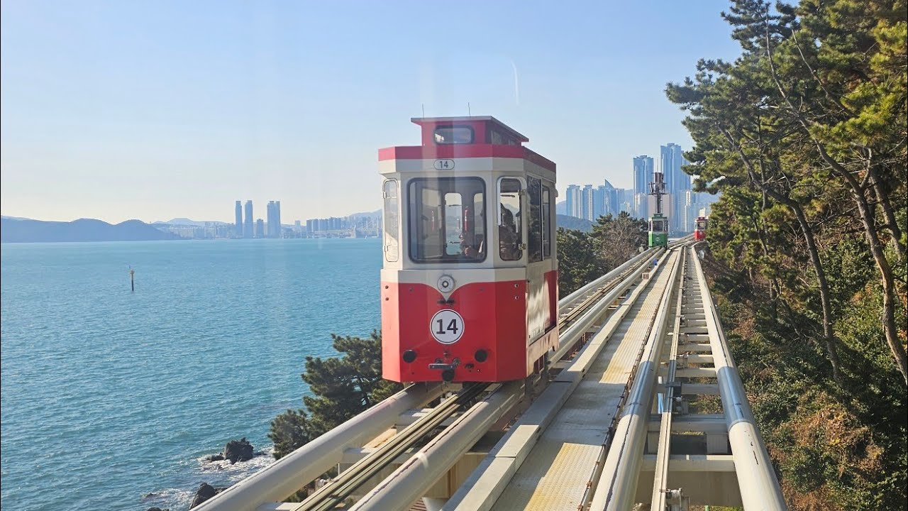 Busan | Day 7 | 28.12.2025