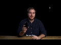 Langogo vs Human translation