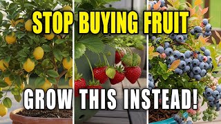 Save $2000 a Year with These 10 Fruit Trees in Pots