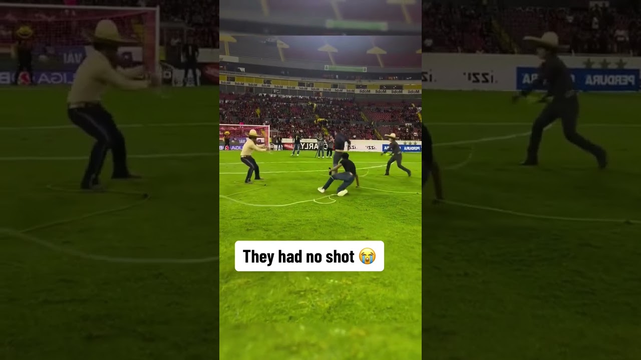 This halftime show 😂 (via @identomkt/TT)