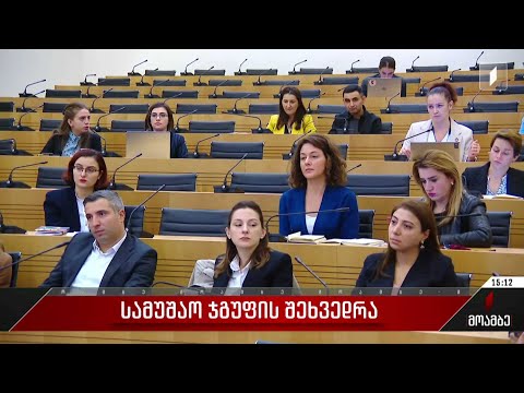 სამუშაო ჯგუფის შეხვედრა