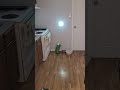 BUT WHY Laser Flashlight For Photographs You ASK Lep Camera BUT WHY Laser Flashlight For Photographs You ASK Lep Camera