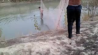 картинка: Буни коринг баликлар