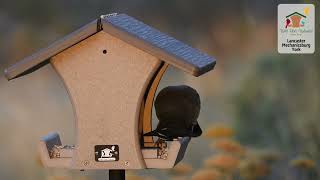 Experience a Different Kind of Backyard Bird Feeding Store at Wild Birds Unlimited
