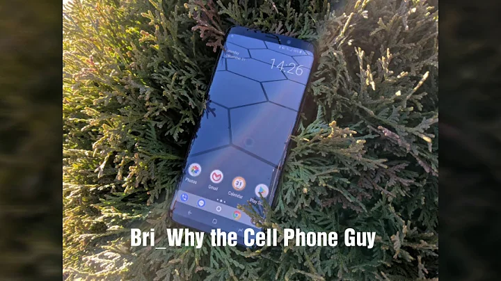 Bri_Why the Cell Phone Guy