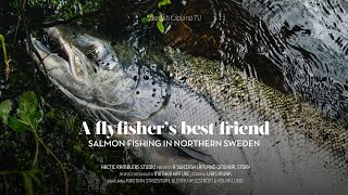 Salmon fishing in northern Sweden — a flyfisher’s best friend