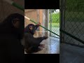 Comali Funny Videos #🐒monkey  memesw🤣🤣🍼