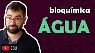 Água (Bioquímica) - AULA NOVA (REGRAVADA) NA DESCRIÇÃO