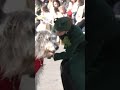 Kate presents shamrock to the Irish Wolf Hound regimental mascot