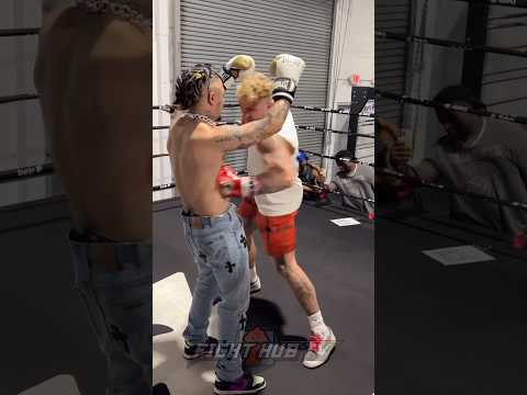 Jake Paul knocks