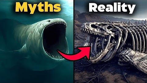 39 mythische wezens die echt hebben bestaan! | Volledige serie