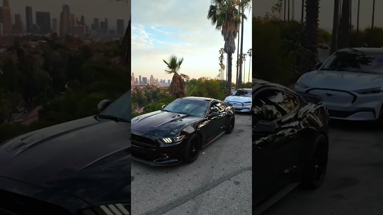 From Corvettes to Mopars to Mustangs, ProFlex Commander Runs Them All