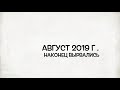 Поход за грибами август 2019