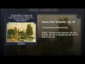 Miniature de la vidéo de la chanson Bouře (The Tempest), Op. 46