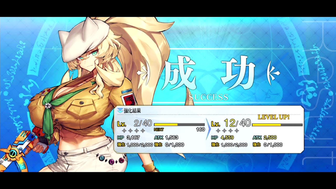 FGO】水着バーゲストの再臨画像（最終再臨含む）、素材、台詞纏め UDK 