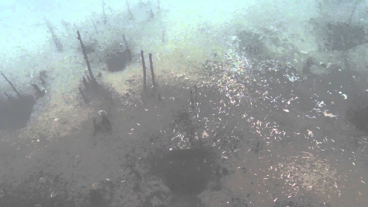 Musht Tilapia fishing. Sea of Galilee. - YouTube