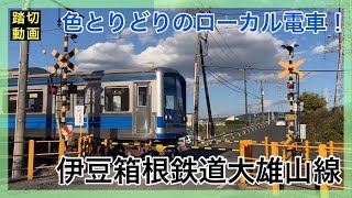 ふみきり動画 伊豆箱根鉄道大雄山線 Railroad Crossing and Train Japan