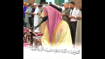 تلاوة عراقية | ثُمَّ قِيلَ لِلَّذِينَ ظَلَمُوا ذُوقُوا عَذَابَ الْخُلْدِ