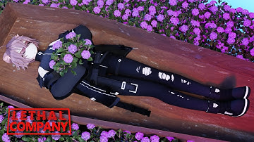 I see why this Company is Lethal