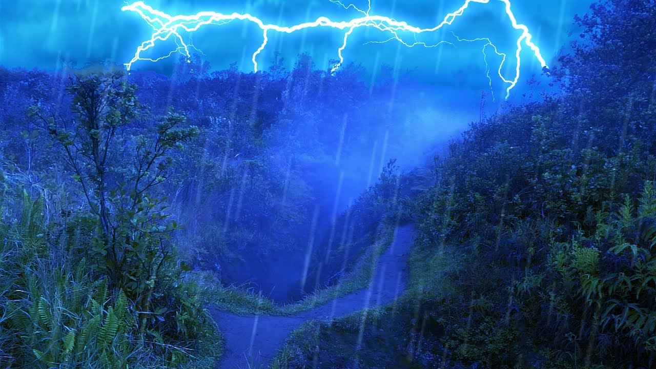 Sleeping Sounds Thunderstorm White Noise. . . So Relaxing! 💤💤💤
