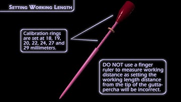 Setting the Working Length when using GuttaCore® with Dr. David Landwehr | DENTSPLY