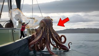 Kraken Is Real! 20 Times Kraken was Caught on Camera & Spotted in Real Life by 50M Videos 8,988 views 2 weeks ago 20 minutes