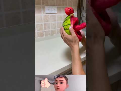 Kissing watermelon 😂#amazing #viral #youtubeshorts #funny #wow #shorts #wow