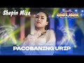 Shepin Misa - Pacobaning Urip - New Pallapa  