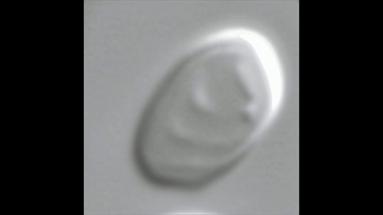 25000 epochs video cropped