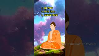 What is inside tripitaka  | buddha dhamma tripitaka shorts