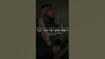 فناداها من تحتها الا تحزني || أحمد النفيس || تلاوة هادئة