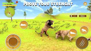 Angry Lion Simulator Lion Game screenshot 2